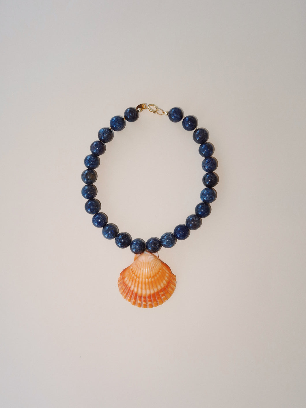 Collar coral fosil y concha