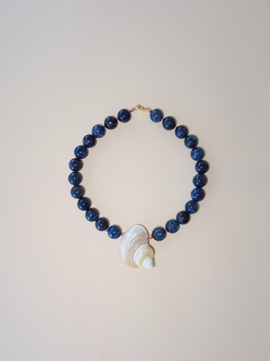 Collar coral fosil y caracol