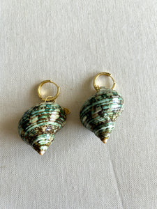 Aretes Concha Verde