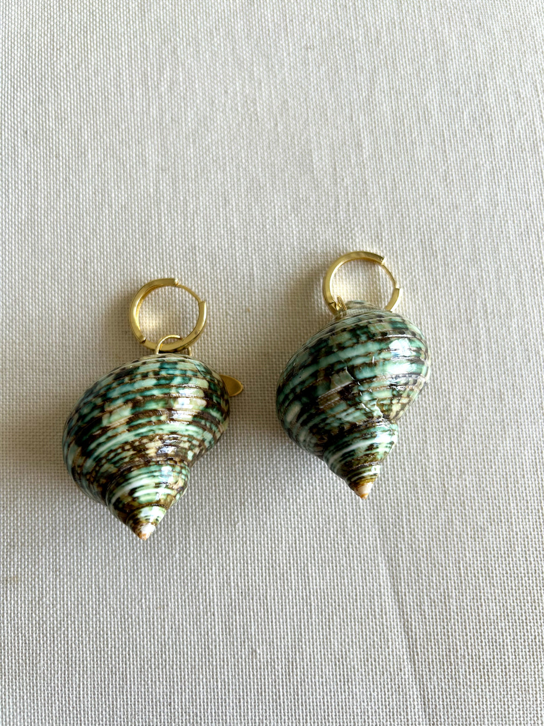 Aretes Concha Verde